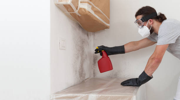 Professional Mold Removal technician working in Williston Park, NY